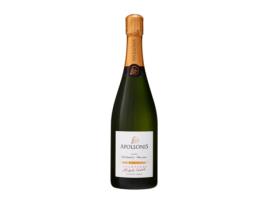 Espumante MICHEL LORIOT Authentic Blanc de Noirs Festigny Pinot Meunier Brut Champanhe (0.75 L - 1 Unidade)