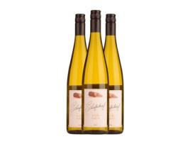 Vinho branco SCHIEFERKOPF Riesling Baden (0.75 L - 3 Unidades)