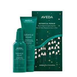 Aveda Botanical Repair Duo