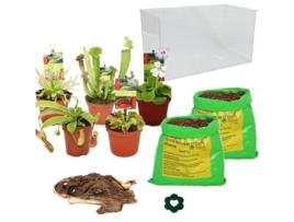 Plantas Carnívoras Aquário Faça Você Mesmo Grande EXOTENHERZ