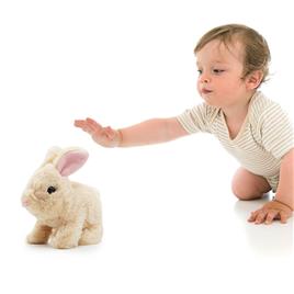 Pugs At Play Boneca Cookie Jumping Rabbit