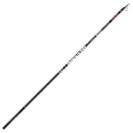 Falcon Cana Bolonhesa Venere No Limits