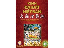 Livro Kinh Ð?i Bát Ni?t Bàn T?p 2 Tu quyen 11 den quyen 20 Ban in nam 2017 Vietnamese Edition de Tien Nguyen Minh (Vietnamita)