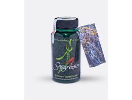 Seagreens Iodine + Capsules 60's