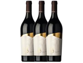 San Marzano Malvasia Nera Talò Malvasia Preta Salento 75 cl (Caixa de 3 unidades)