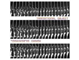 Livro Transitional Object de Adrian Silbernagel (Inglês)