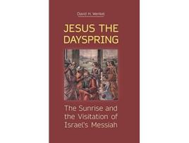 Livro Jesus the Dayspring The Sunrise and the Visitation of Israels Messiah New Testament Monographs de David H Wenkel (Inglês)