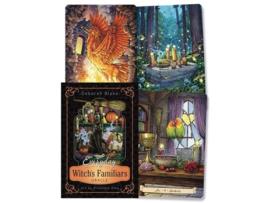 Livro Everyday Witchs Familiars Oracle de Deborah Blake (Inglês)