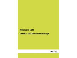 Livro Gefühl und Bewusstseinslage German Edition de Johannes Orth (Alemão)