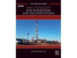 Livro Well Integrity for Workovers and Recompletions de Les Skinner (Inglês - Capa Dura)