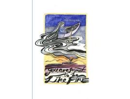 Livro You Are Meant to Be Like Fire de Sheila MurrayNellis (Inglês)