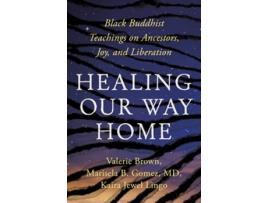 Livro Healing Our Way Home de Kaira Jewel Lingo, Valerie Brown et al. (Inglês)