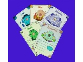 Livro Cardiau Fflach Mewn Glob de Siân Angharad (Galês)