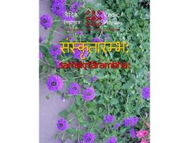 Livro Samskrutarambh A beginner book for learning Sanskrit Sanskrit Edition de Vedic Vidyalay