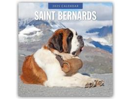 Livro Saint Bernards 2025 Square Wall Calendar de Red Robin (Inglês)