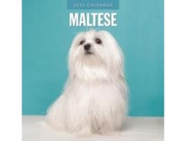 Livro Maltese 2025 Square Wall Calendar de Red Robin (Inglês)