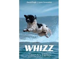 Livro Whizz Zero to Hero de David Pugh Lynn Cavendish (Inglês)