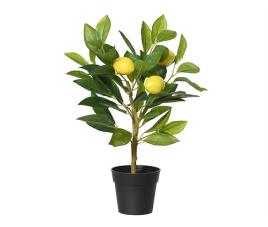 Planta artificial limonero marca everlands