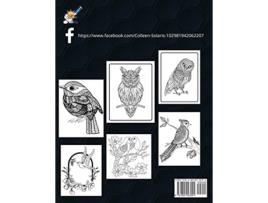 Livro Birds Coloring Book de Colleen Solaris (Inglês)