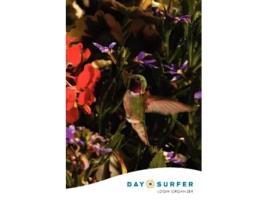 Livro Day Surfer Login Organizer Hummingbird de Johnson Hunter (Inglês)