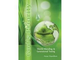 Livro Gods Priority WorldMending and Generational Testing de Anne Hamilton (Inglês)
