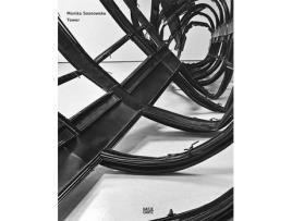 Livro monika sosnowska de text by andrzej turowski (inglês)