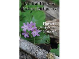 Livro Biblical Hebrew Picture Dictionary de Jeff A Benner (Inglês)