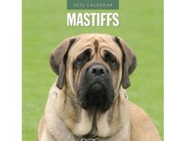 Livro Mastiffs 2025 Square Wall Calendar de Red Robin (Inglês)