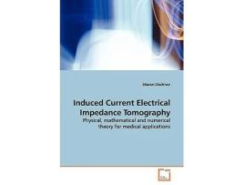 Livro Induced Current Electrical Impedance Tomography Physical mathematical and numerical theory for medical applications de Sharon Zlochiver (Inglês)