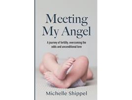 Livro Meeting My Angel de Michelle Shippel (Inglês)