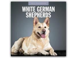 Livro German Shepherd, White 2025 Square Wall Calendar de Red Robin (Inglês)
