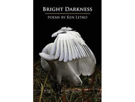 Livro Bright Darkness de Ken Letko (Inglês)