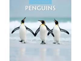 Livro Penguins 2025 Square Wall Calendar de Red Robin (Inglês)