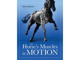 Livro Horses Muscles in Motion de Sara Wyche (Inglês)