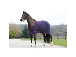 Cobertor para Cavalos com Colarinho Standard WEATHERBEETA Waffle