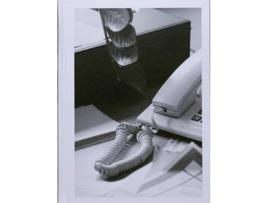 Livro Buropflanze de Saskia Groneberg (Inglês - Capa Dura)