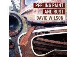 Livro Peeling Paint and Rust de Wilson e David (Inglês)