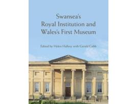 Livro Swansea’s Royal Institution and Wales’s First Museum de Hallesy, Helen et al. (Inglês - Capa Dura)