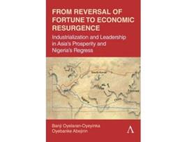 Livro From Reversal of Fortune to Economic Resurgence de Oyebanke Abejirin (Inglês)