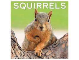 Livro Squirrels 2025 12 X 12 Wall Calendar de Willow Creek Press (Inglês)