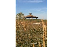 Livro fundaments poems and early writings de Antonio Giovanni Rivera (Inglês)