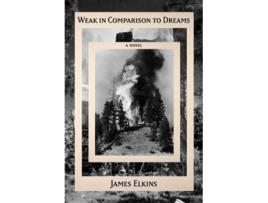 Livro Weak in Comparison to Dreams de James Elkins (Inglês - Capa Dura)