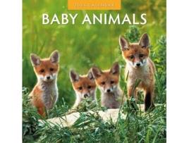 Livro Baby Animals 2025 Square Wall Calendar de Red Robin (Inglês)