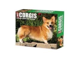 Livro Corgis 2025 6.2 X 5.4 Box Calendar de Willow Creek Press (Inglês)