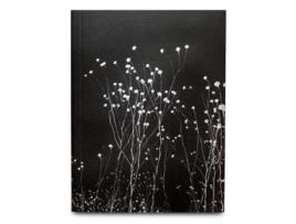 Livro The Uncanny de photographer Leonard Pongo (Inglês)