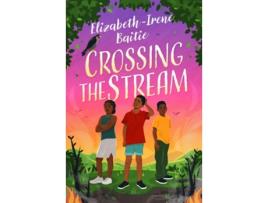 Livro Crossing the Stream de Elizabeth-Irene Baitie (Inglês)
