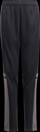 Calças adidas SQ25 TR PNT Y