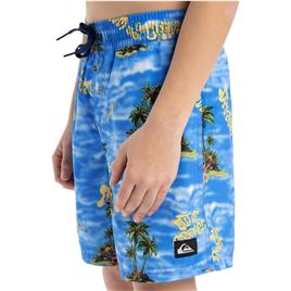 Quiksilver Calção De Banho Everyday Straight Volley14