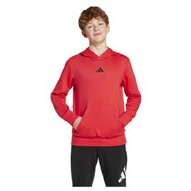 Adidas Moletom Com Capuz Essentials Small Logo