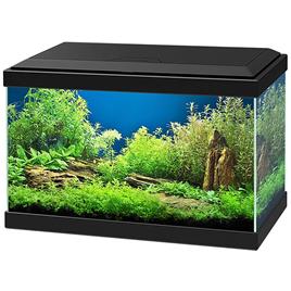 Sandimas Aquário Aqua 20